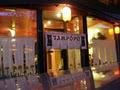 tampopo logo