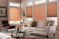 Budget Blinds image 6