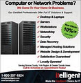 ITelligent Computer & Network Services logo