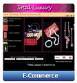 Inchol - web design,website development,graphic design image 3