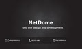 NetDome - website design and development in Calgary logo