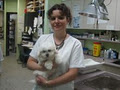 Riverdale Animal Hospital image 2