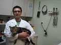 Riverdale Animal Hospital image 3