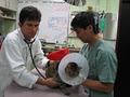 Riverdale Animal Hospital image 4