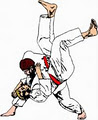 SURREY JUDO CLUB image 6
