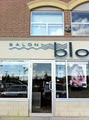 Salon Blo Inc logo