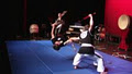Sun Hang Do Martial Arts image 2