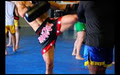 Training Ground Muay Thai image 4