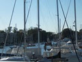 sail on simcoe image 3