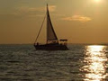 sail on simcoe image 5